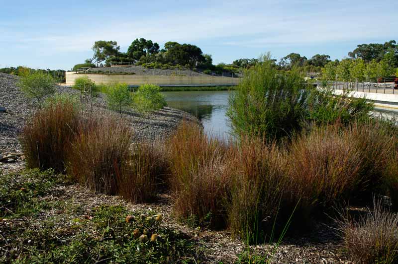Looking across water to Howson Hill - Cranbourne Royal Botanic Gardens